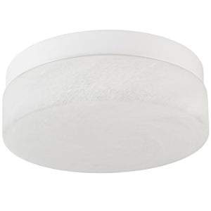 English Elm 12 Inch Led Ceiling Light - 24W Flush Mount Fixture For Modern Bedroom, Living Room & Dining Areas W2312P375014