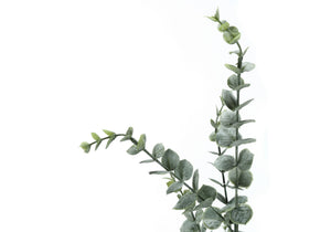 English Elm Artificial Eucalyptus Floor Plant 44" Tall in Sleek Black Pot with 1440 Lifelike Leaves, No Care Needed Green 44 L x 8 W x 8 H B2710P220047