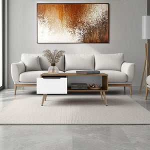 English Elm Scandinavian Minimalist Coffee Table with Storage Drawer Open Shelf Living Room B128P473973