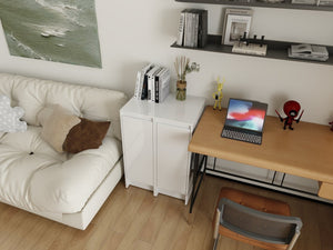 English Elm 24" Modular Plywood Storage Cabinet Glossy White Soft Close Doors for Bath or Kitchen W999S00519