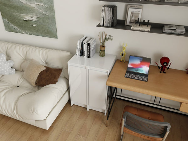 English Elm 24" Modular Plywood Storage Cabinet Glossy White Soft Close Doors for Bath or Kitchen W999S00519