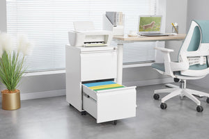English Elm [requires Assembly] Locking Steel File Cabinet Two Drawers Mobile Wheels Home Office Storage T3625P453425