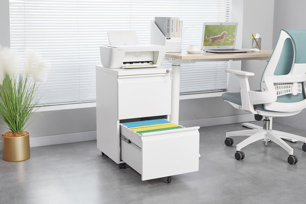 English Elm [requires Assembly] Locking Steel File Cabinet Two Drawers Mobile Wheels Home Office Storage T3625P453425