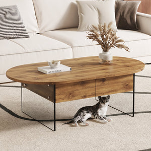 English Elm Coffee modern wood coffee table with double drawers, tempered glass sides, sleek storage & easy assembly W1151P191785