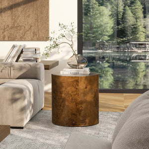 English Elm Jennifer Taylor Home - Nebula 20" Oval Accent Side Table - Medium Brown Walnut Burl Wood For Elegant Living Spaces B2719P292913