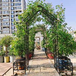 English Elm Metal Garden Arch Powder Coated Adjustable Width Climbing Plant Support Outdoor W1586P268890