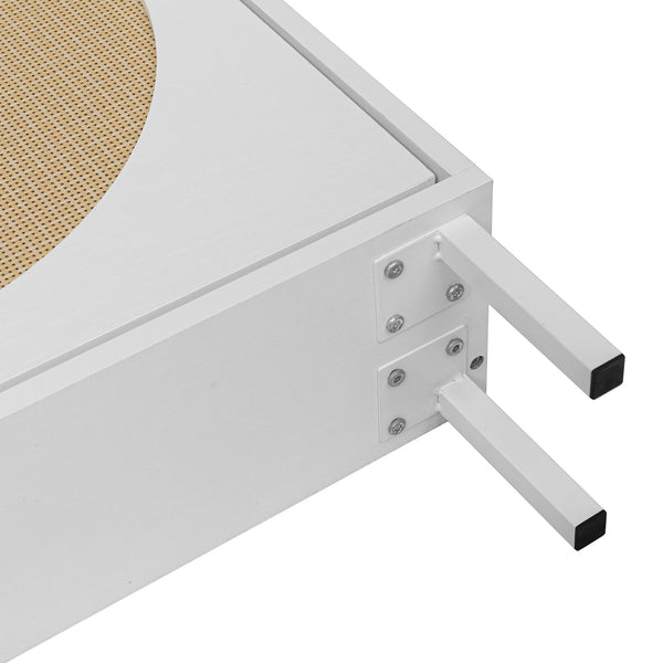 English Elm 2 Door Shoe Rack with Engineered Rattan, Metal Base & Anti-Slip Feet, Moisture-Proof, Slim 31.96"L W68850764