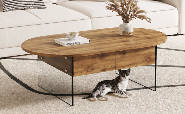 English Elm Coffee modern wood coffee table with double drawers, tempered glass sides, sleek storage & easy assembly W1151P191785