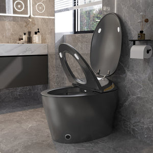 English Elm Unique Smart One Piece Toilet with Bidet Foot Sensor Auto Lid Warm Dryer Night Light W3133P384914