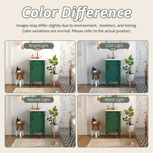 English Elm 18-Inch Modern Bathroom Vanity with Sink Compact Retro Design Durable MDF & Solid Wood Legs Storage-Friendly Green N710P257401F