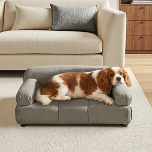 English Elm Marcel Tufted Velvet Pet Sofa Bed Bolstered Arms Stylish Small Medium Dogs Cats Gray B2719P448985