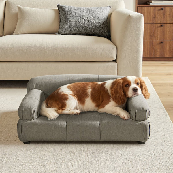 English Elm Marcel Tufted Velvet Pet Sofa Bed Bolstered Arms Stylish Small Medium Dogs Cats Gray B2719P448985
