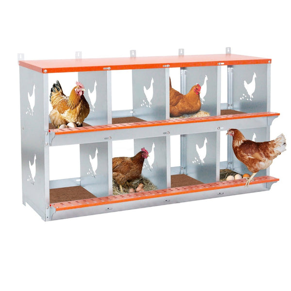 English Elm 8-bay Galvanized Steel Wall Mount Nesting Box for Backyard Hens with Vented Design W1422P355411