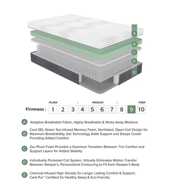 English Elm 12" Queen Hybrid Green Tea Gel Memory Foam Mattress - 12" Plush Pocket Coil Support, Breathable USA-Made Comfort B011P218276