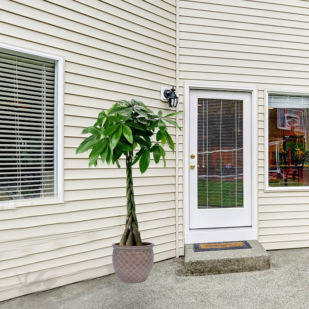 English Elm 3 Pieces Ceramic Flowerpot Set - Antique Yellow Planters For Indoor & Outdoor Garden Styling Decor W3273P321486