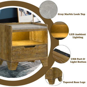 English Elm Garcia Aspen Brown Rubberwood Nightstand with Led Lighting and Usb Charging Port B2756P493476