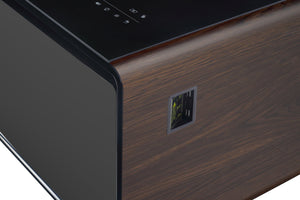 English Elm Modern Smart Coffee Table with Built-in Dual Fridge, Bluetooth Speakers, 15W Wireless Charge, RGB Lights Brown+Black W1172P320210