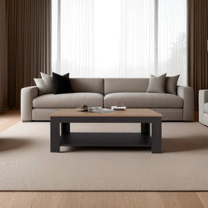 English Elm Bazine Open Shelf Coffee Table Two Tone Finish Modern Living Room Storage B092P439922