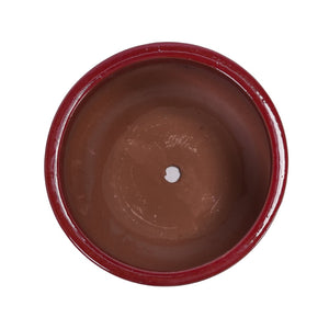 English Elm Set Of 3 Ceramic Flowerpots - Artisan Modern Planters For Garden, Patio & Windowsill Decor! W3273P321489-GIGA