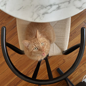 English Elm Wishbone Sculpted Solid Wood Chair with Hand-Woven Paper Cord Seat, Eco Oil Stain Finish, Durable Design Black B353P345219