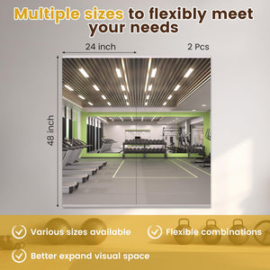 English Elm 48x24 Tempered Glass 2-Pack Gym Mirror Set Wall-Mounted Framed Silver — Shatterproof HD Reflection T3757P347055