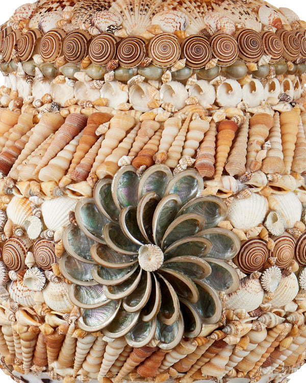 Currey & Company Seascape Handcrafted Seashell Terracotta Table Lamp with Linen Shade for Coastal Decor 6000-1055
