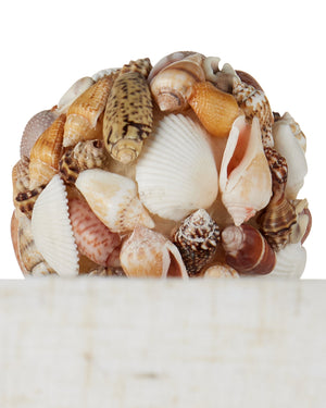 Currey & Company Seascape Handcrafted Seashell Terracotta Table Lamp with Linen Shade for Coastal Decor 6000-1055