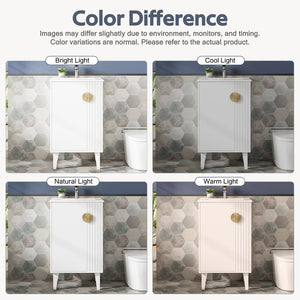 English Elm 20-inch French Style Bathroom Vanity with Integrated Ceramic Sink, Carved Accents & Soft-Close Door White N710P330971K