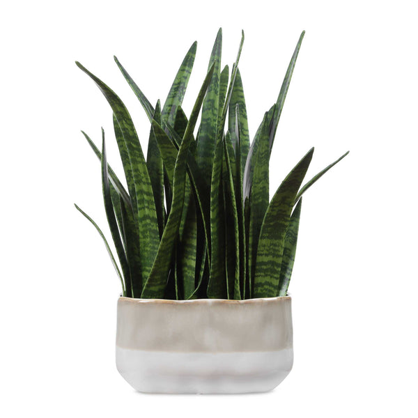 Uttermost Uttermost Sansera Faux Snake Plant in Ombre Glazed Ceramic Pot for Modern Interiors 60271