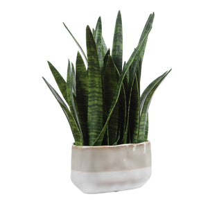 Uttermost Sansera Faux Snake Plant in Ombre Glazed Ceramic Pot for Modern Interiors