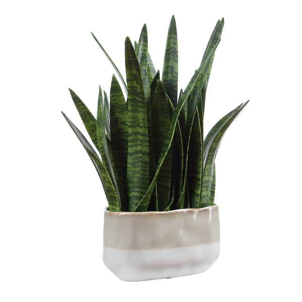Uttermost Sansera Faux Snake Plant in Ombre Glazed Ceramic Pot for Modern Interiors