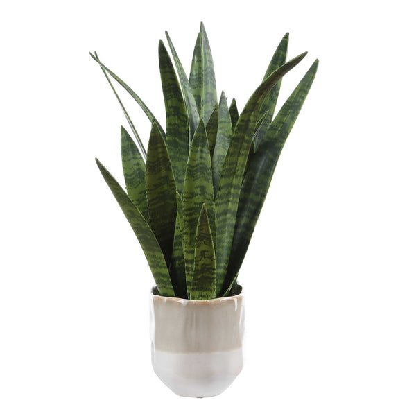 Uttermost Sansera Faux Snake Plant in Ombre Glazed Ceramic Pot for Modern Interiors