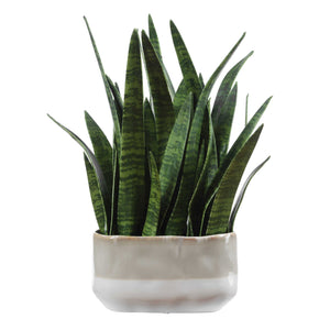 Uttermost Sansera Faux Snake Plant in Ombre Glazed Ceramic Pot for Modern Interiors