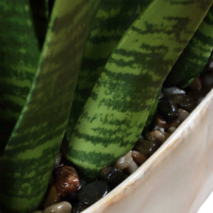 Uttermost Sansera Faux Snake Plant in Ombre Glazed Ceramic Pot for Modern Interiors