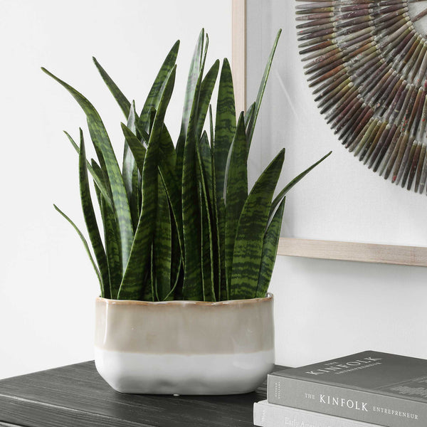 Uttermost Sansera Faux Snake Plant in Ombre Glazed Ceramic Pot for Modern Interiors