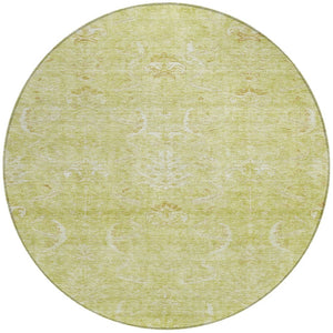 Homeroots 3' Artichoke Green And Ivory Damask Washable Area Rug For Stylish Indoor And Outdoor Spaces 8' Round Polyester 603349