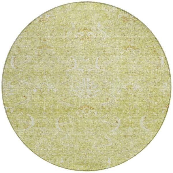 Homeroots 3' Artichoke Green And Ivory Damask Washable Area Rug For Stylish Indoor And Outdoor Spaces 8' Round Polyester 603349