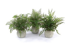HomeRoots Set of Three Lifelike 7" Green Ferns in Stylish Round Gray Concrete Pots for Effortless Décor 606325