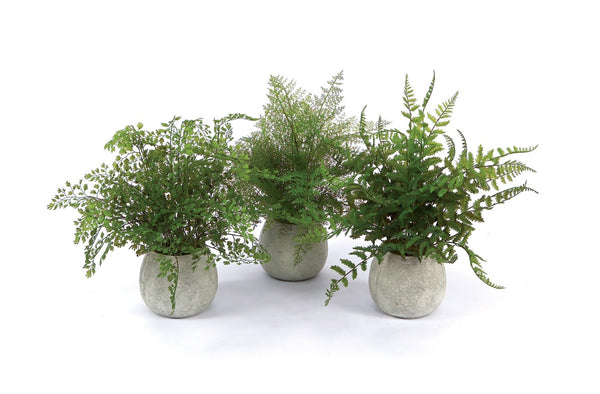 HomeRoots Set of Three Lifelike 7" Green Ferns in Stylish Round Gray Concrete Pots for Effortless Décor 606325