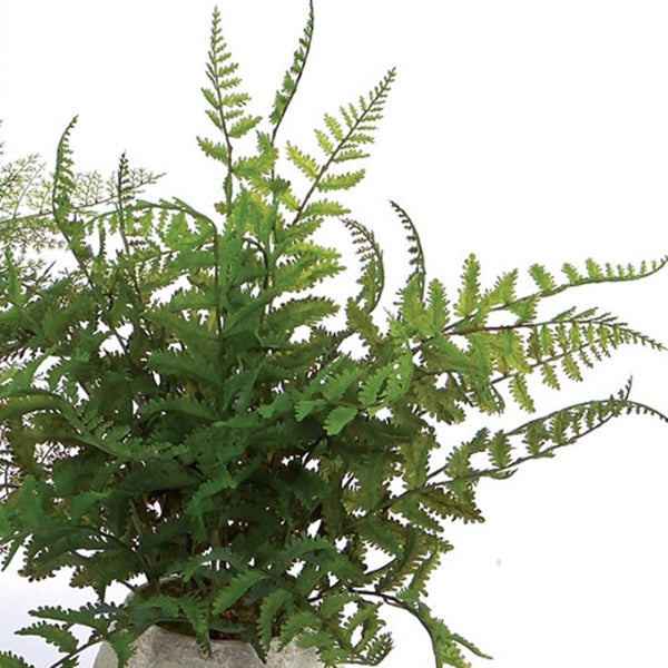 HomeRoots Set of Three Lifelike 7" Green Ferns in Stylish Round Gray Concrete Pots for Effortless Décor 606325