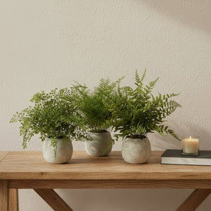 HomeRoots Set of Three Lifelike 7" Green Ferns in Stylish Round Gray Concrete Pots for Effortless Décor 606325