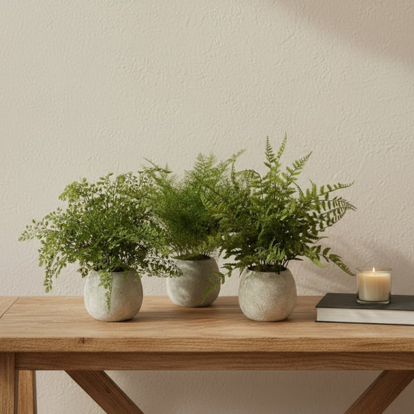 HomeRoots Set of Three Lifelike 7" Green Ferns in Stylish Round Gray Concrete Pots for Effortless Décor 606325