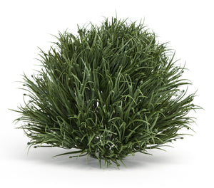 HomeRoots Set of Six 8-Inch Green Artificial Plants - Realistic, Low-Maintenance Decor for Any Space 606339