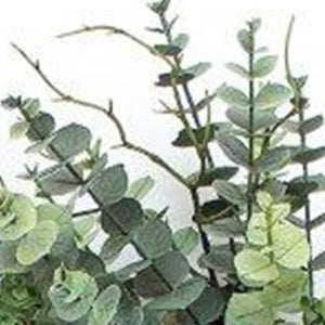 HomeRoots 9" Green Artificial Eucalyptus Wall Hanging - Lifelike, Low-Maintenance Decor for Any Space 606345