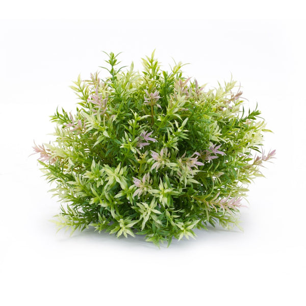 HomeRoots Set of Six 10" Green Artificial Plants - Lifelike, Low-Maintenance Décor for Home or Office Spaces 606368