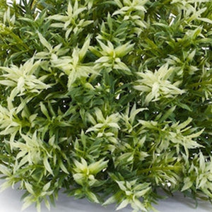 HomeRoots Set of Six 10" Green Artificial Plants - Lifelike, Low-Maintenance Décor for Home or Office Spaces 606368