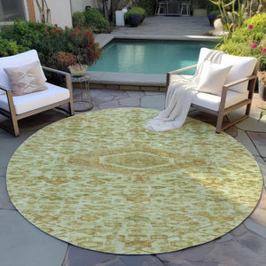 HomeRoots 5' Sage Medallion Indoor Outdoor Area Rug – Durable, Washable, Elegant Design for High-Traffic Spaces 8' Round 607412