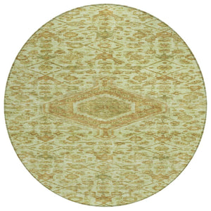 HomeRoots 5' Sage Medallion Indoor Outdoor Area Rug – Durable, Washable, Elegant Design for High-Traffic Spaces 8' Round 607412