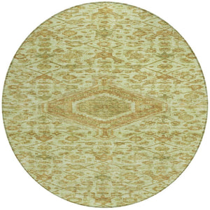 HomeRoots 5' Sage Medallion Indoor Outdoor Area Rug – Durable, Washable, Elegant Design for High-Traffic Spaces 8' Round 607412