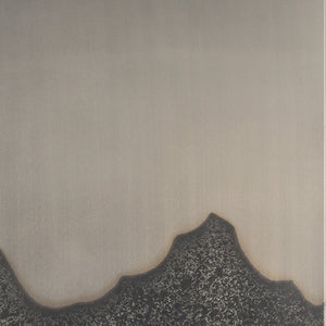 HomeRoots Raum Unframed Metal Wall Art - Modern Décor for Contemporary Spaces, Easy to Hang & Stunning Finish 608839